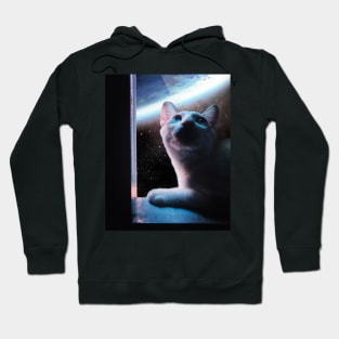 Cat by the window Hoodie